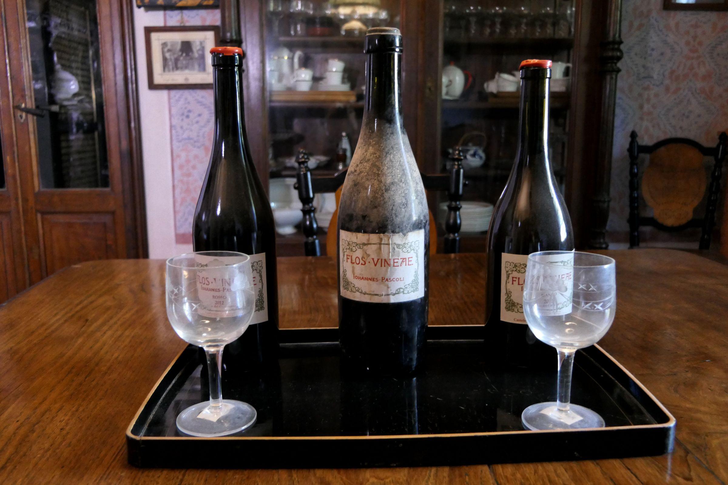 Flos Vineae, il vino prodotto da Giovanni Pascoli nella vigna di Casa Pascoli